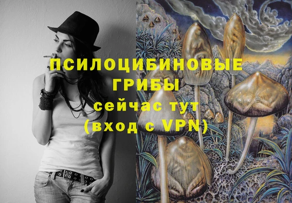 гашик Киреевск