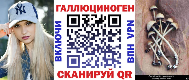 Купить  Верхний Уфалей  Галлюциногенные грибы Cubensis 